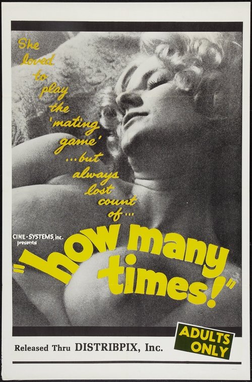 How Many Times Poster