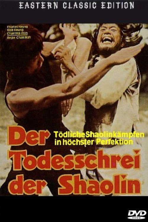 Mysterious Footworks of Kung Fu Poster