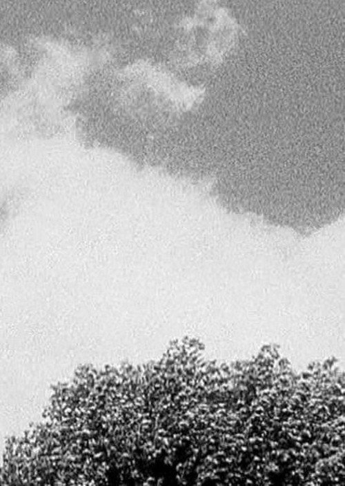 Tree & Cloud Poster