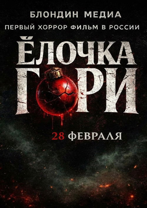 Ёлочка гори Poster