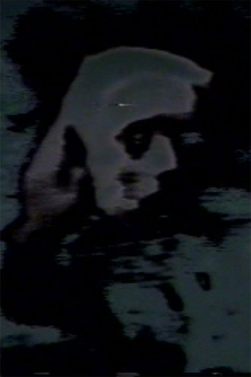 Pictures of the Lost Poster
