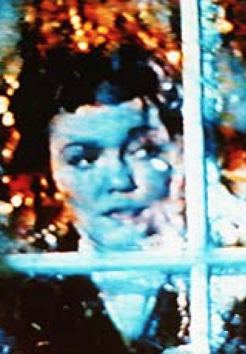 Winter Journey in the Hartz Mountains Poster