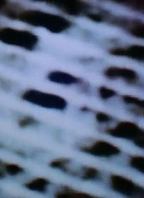 The Space in Between (Airport Architecture) Poster