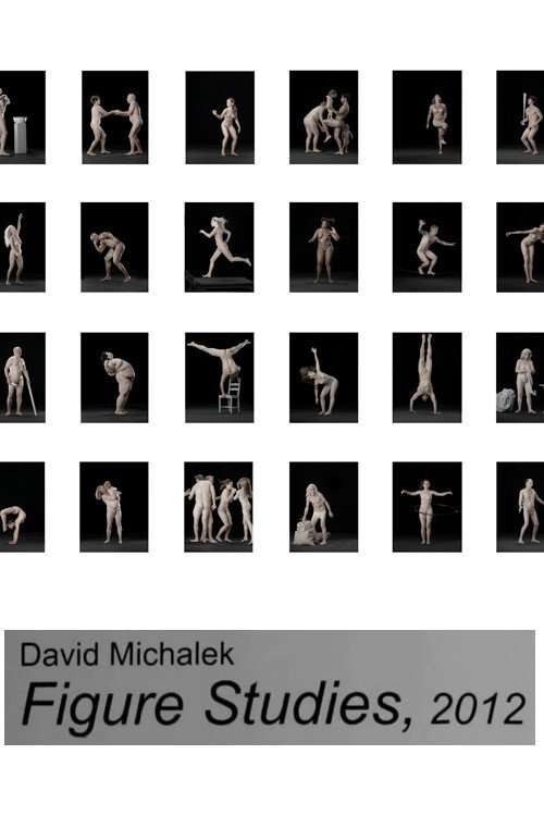 Figure Studies Poster