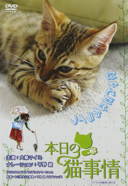 Honjitsu no neko jijô Poster