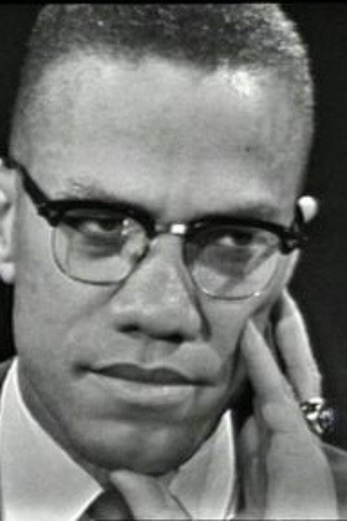 The Negro and the American Promise Poster