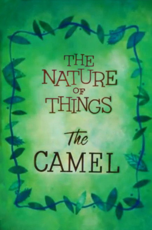 The Nature of Things: The Camel Poster