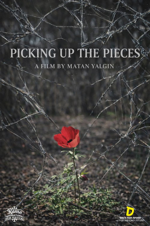 Picking Up the Pieces Poster