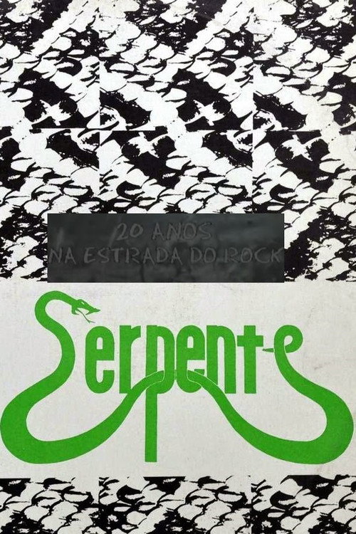 20 Anos na Estrada do Rock Poster