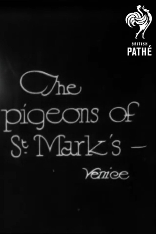 The Pigeons of St Mark's Poster
