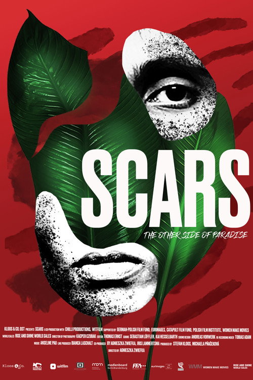 Scars Poster