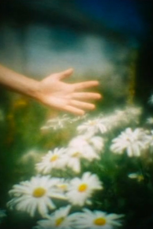 Camera Obscura Poster