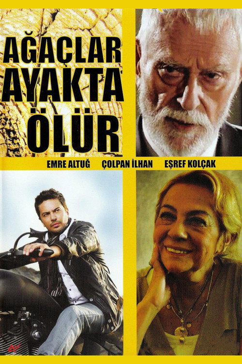 Ağaçlar Ayakta Ölür Poster