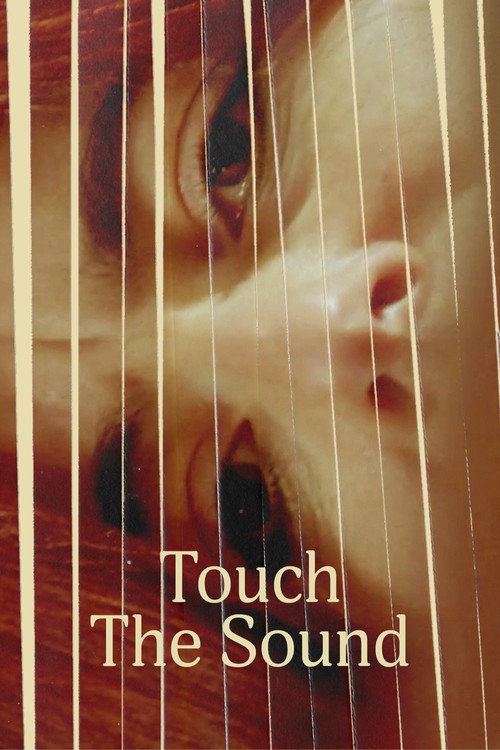 Touch the Sound Poster
