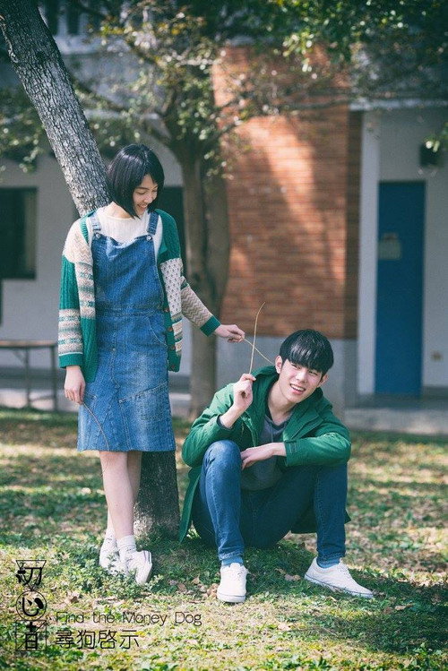 Find the Money Dog Poster