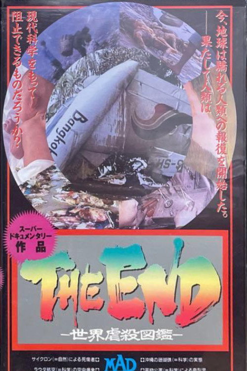 The End Poster
