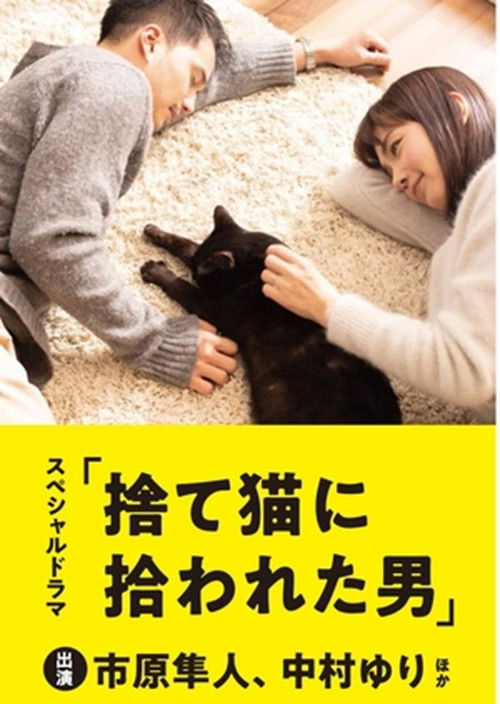 The Man Who Got Picked Up by a Stray Cat Poster