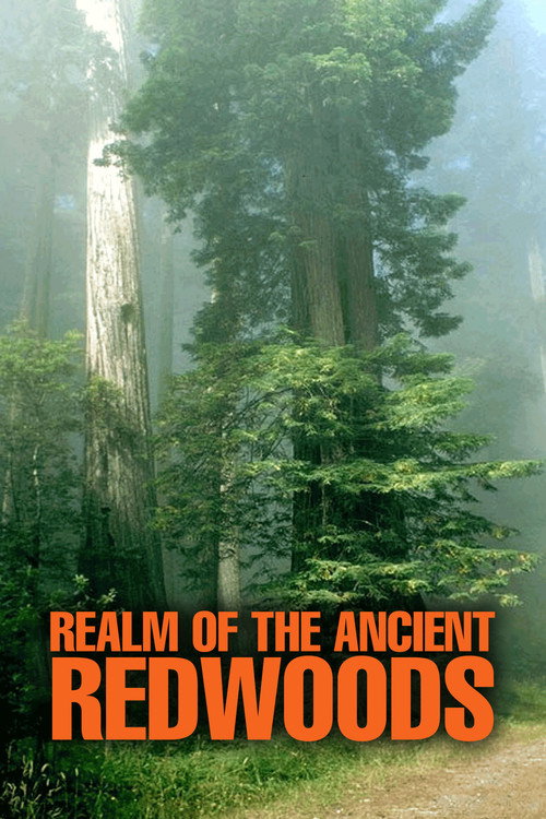Realm of the Ancient Redwoods Poster
