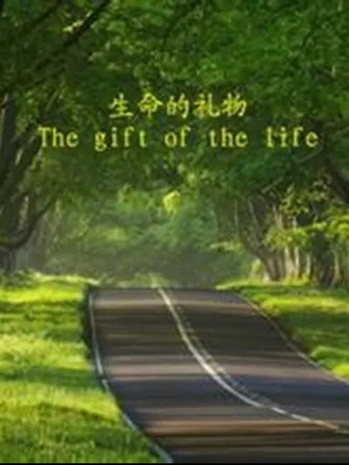 The Gift of the Life Poster