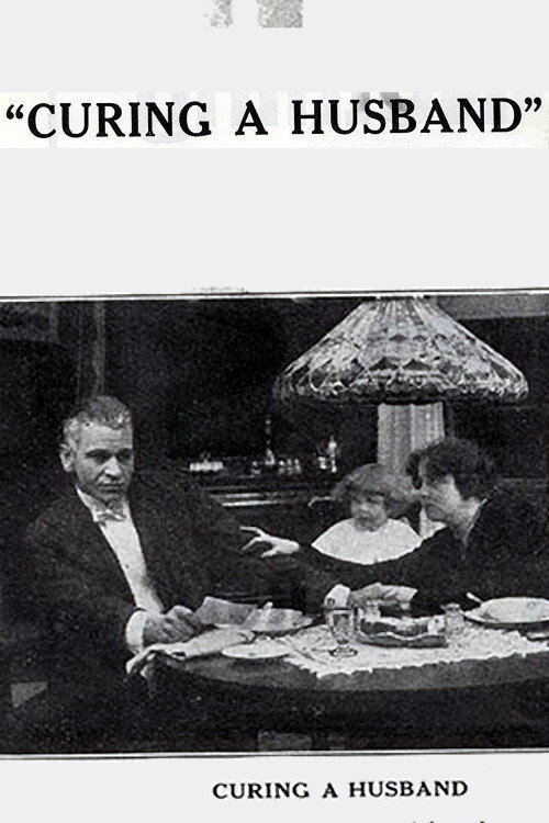 Curing a Husband Poster