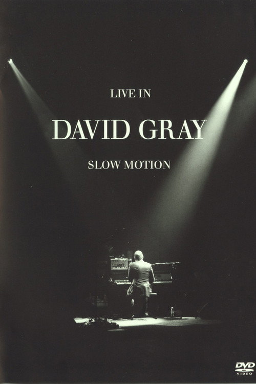 David Gray: LIVE in Slow Motion Poster