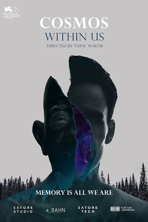 Cosmos Within Us Poster