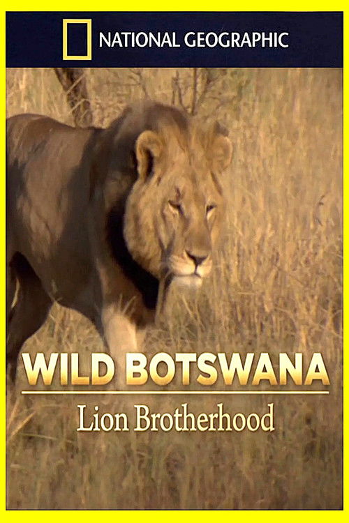 Lion Brotherhood Poster