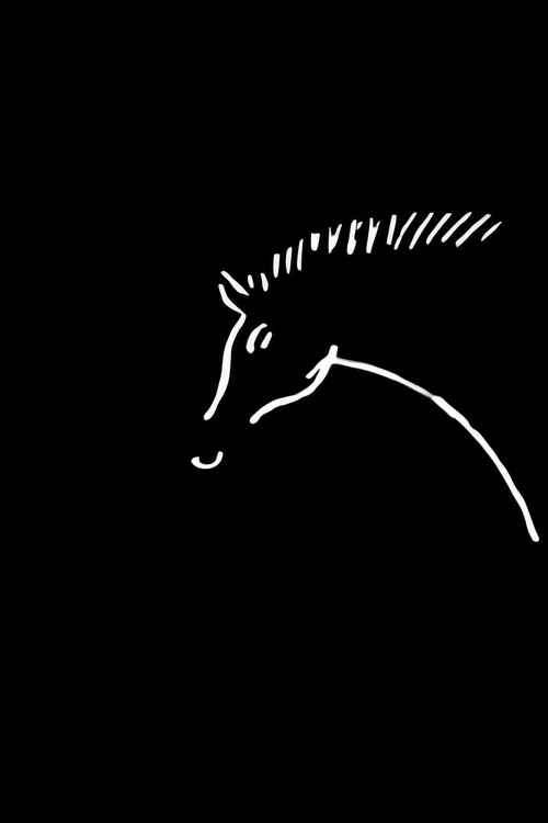 Animated Cave Drawings of Chauvet and Lascaux Poster