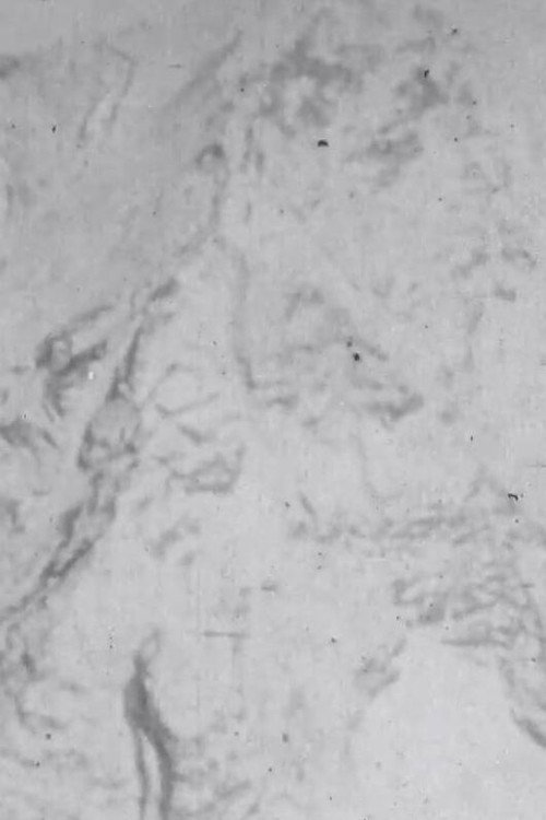 Everest Flight, Blacker Poster