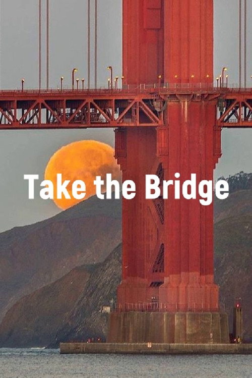 Take The Bridge Poster