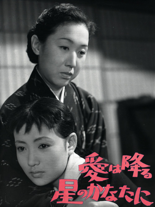 Love is Beyond the Falling Stars Poster