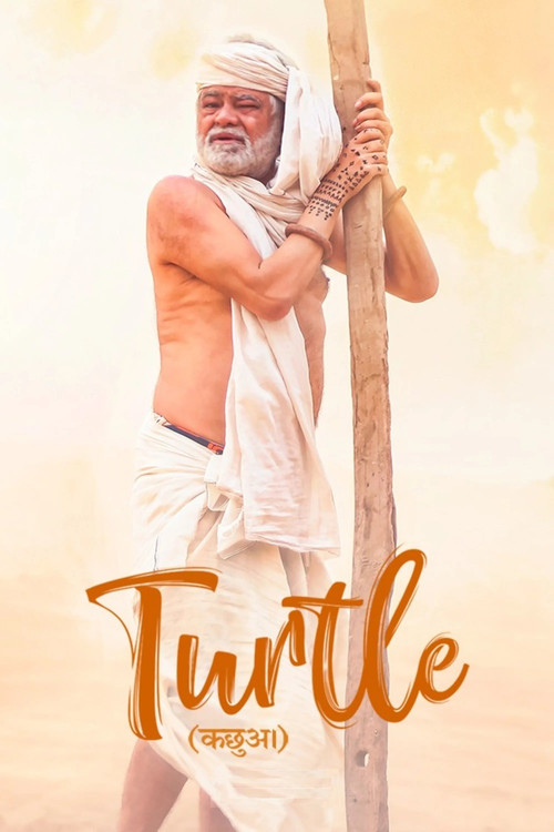 Turtle Poster