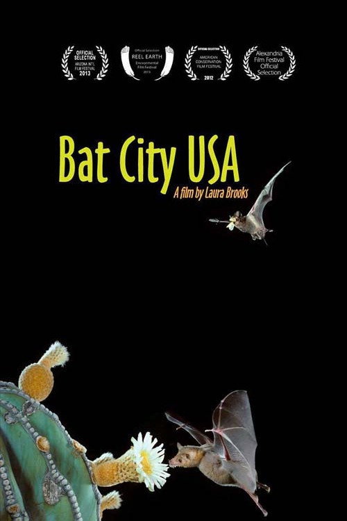 Bat City USA Poster