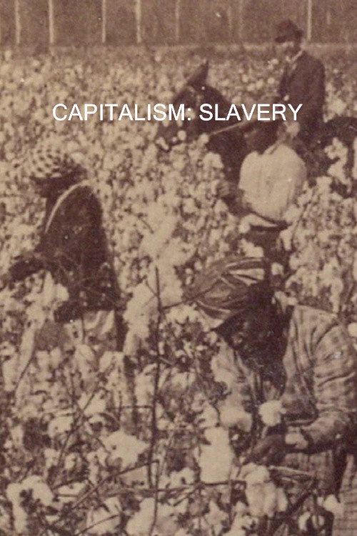 Capitalism: Slavery Poster