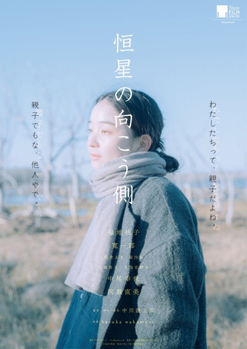 Echoes of Motherhood Poster