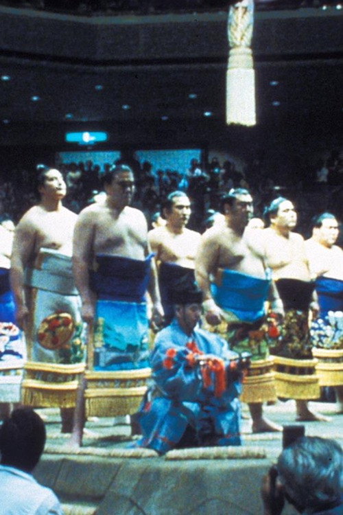 Maïnoumi, une saison dans la vie d'un lutteur de sumo Poster