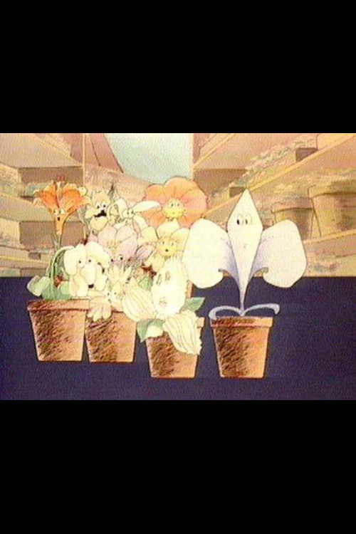 Au pays des couchers de soleil Poster