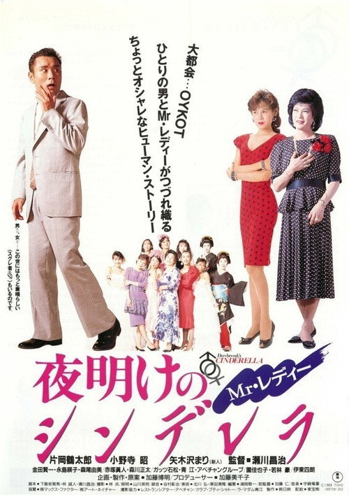 Mr. Lady Cinderella at Dawn Poster