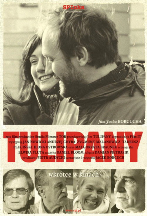 Tulips Poster