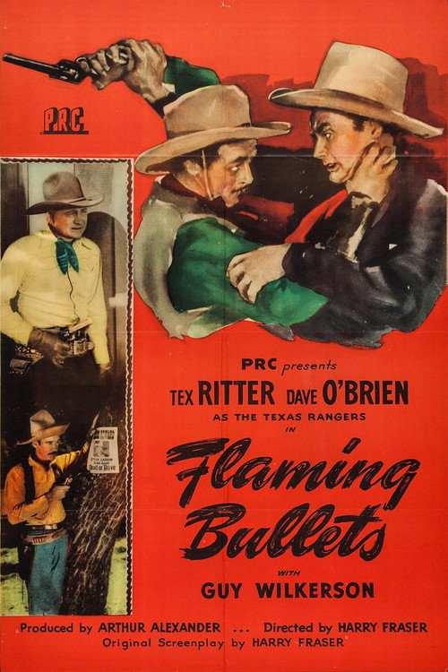 Flaming Bullets Poster