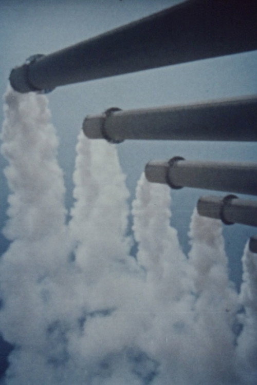 We and Our Environment Poster