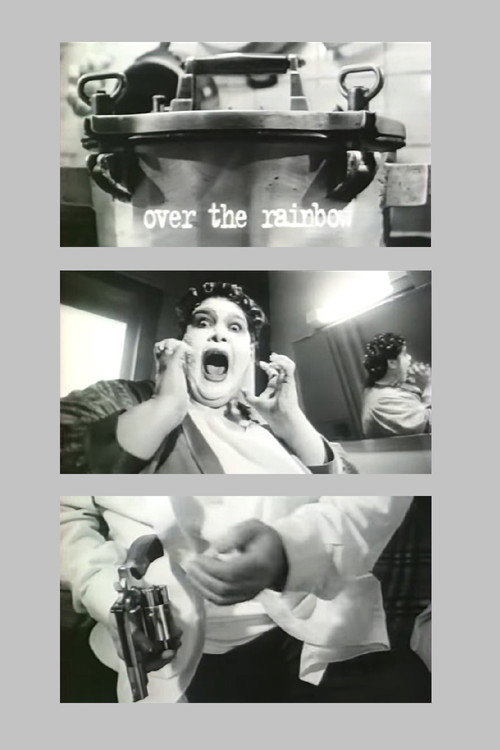 Over the Rainbow Poster