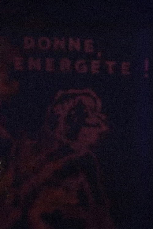 Donne emergete Poster