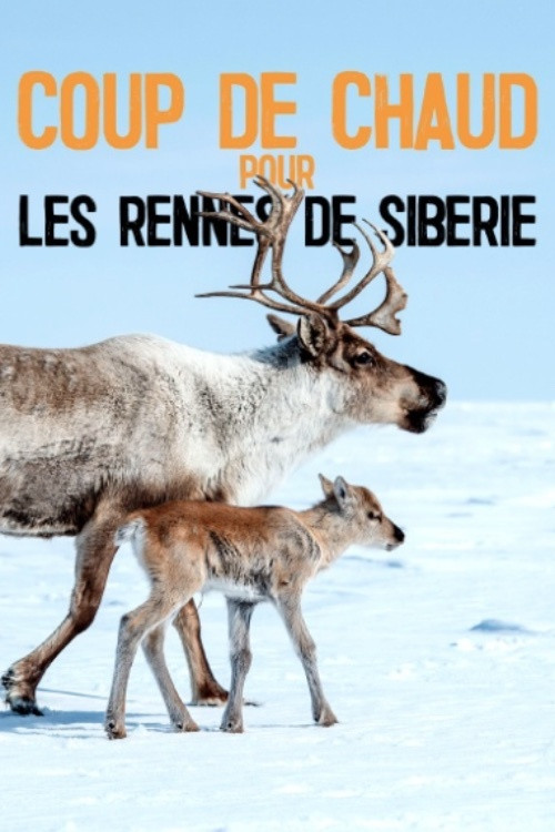 Heatstroke for the Siberian Reindeer Poster