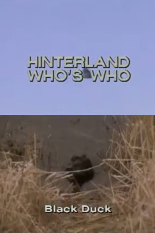 Hinterland Who's Who: Black Duck Poster