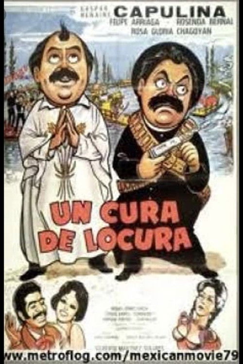 Un cura de locura Poster