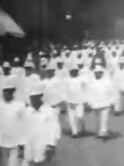 White Wings on Review Poster