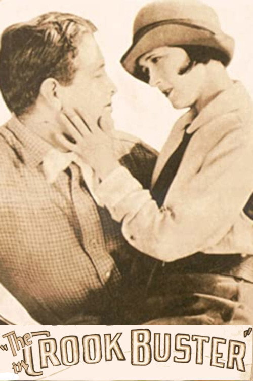 The Crook Buster Poster