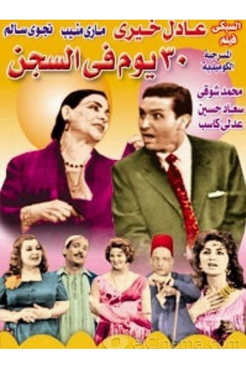 30 Days in Prison Poster