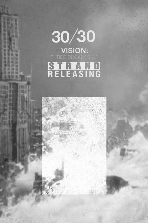 30/30 Vision: Three Decades of Strand Releasing Poster